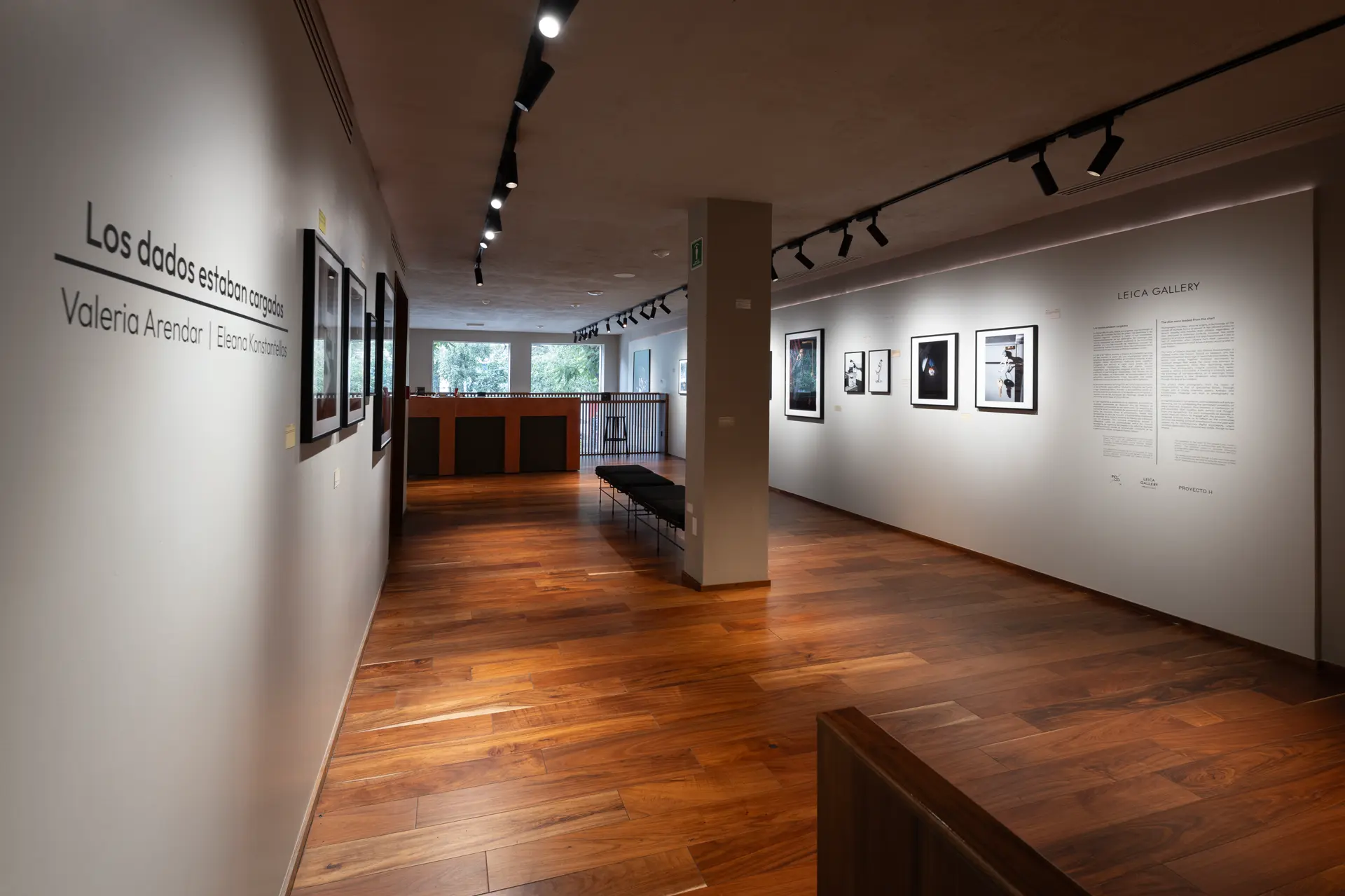 Gallery installation shot