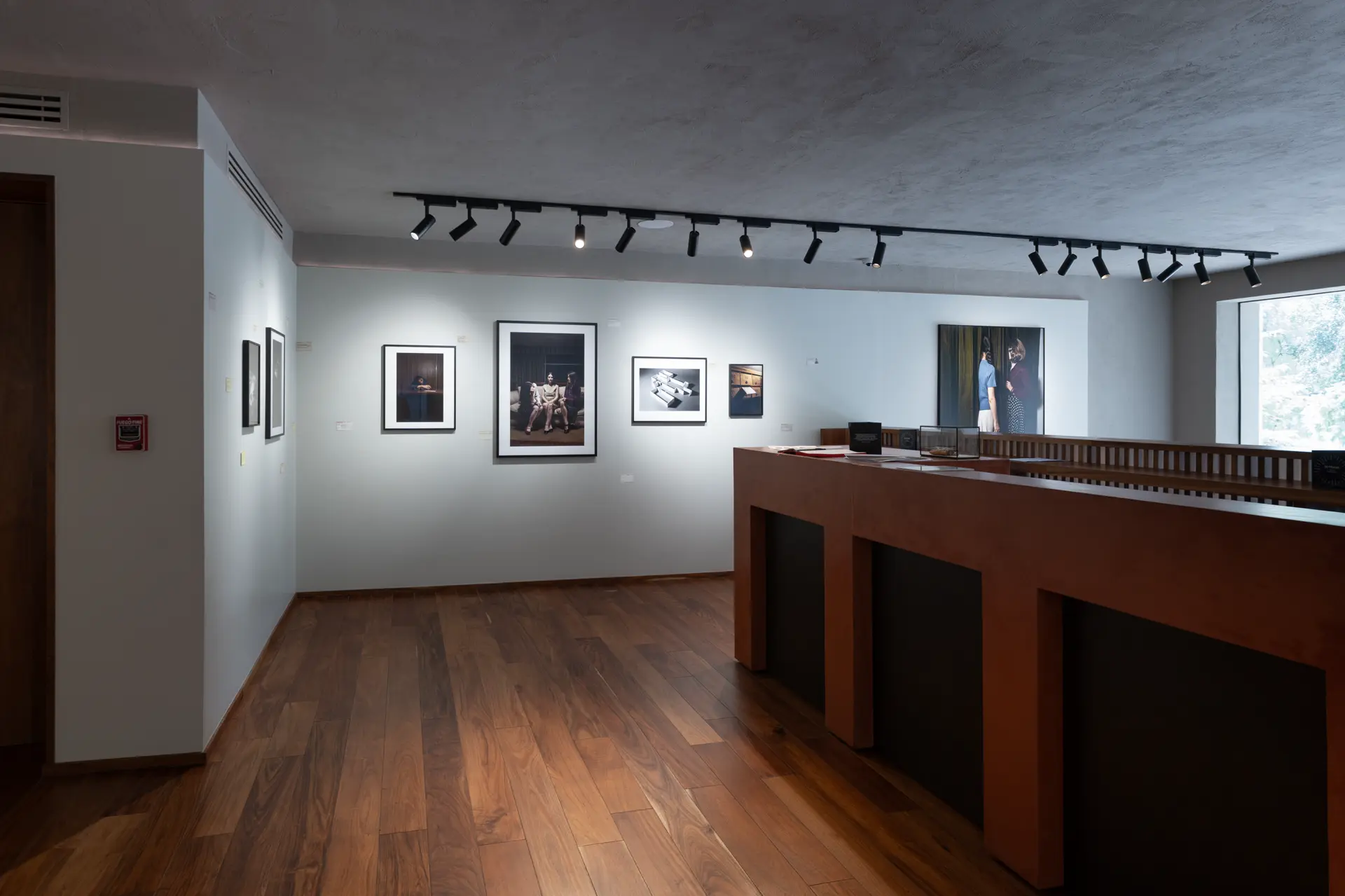 Gallery installation shot