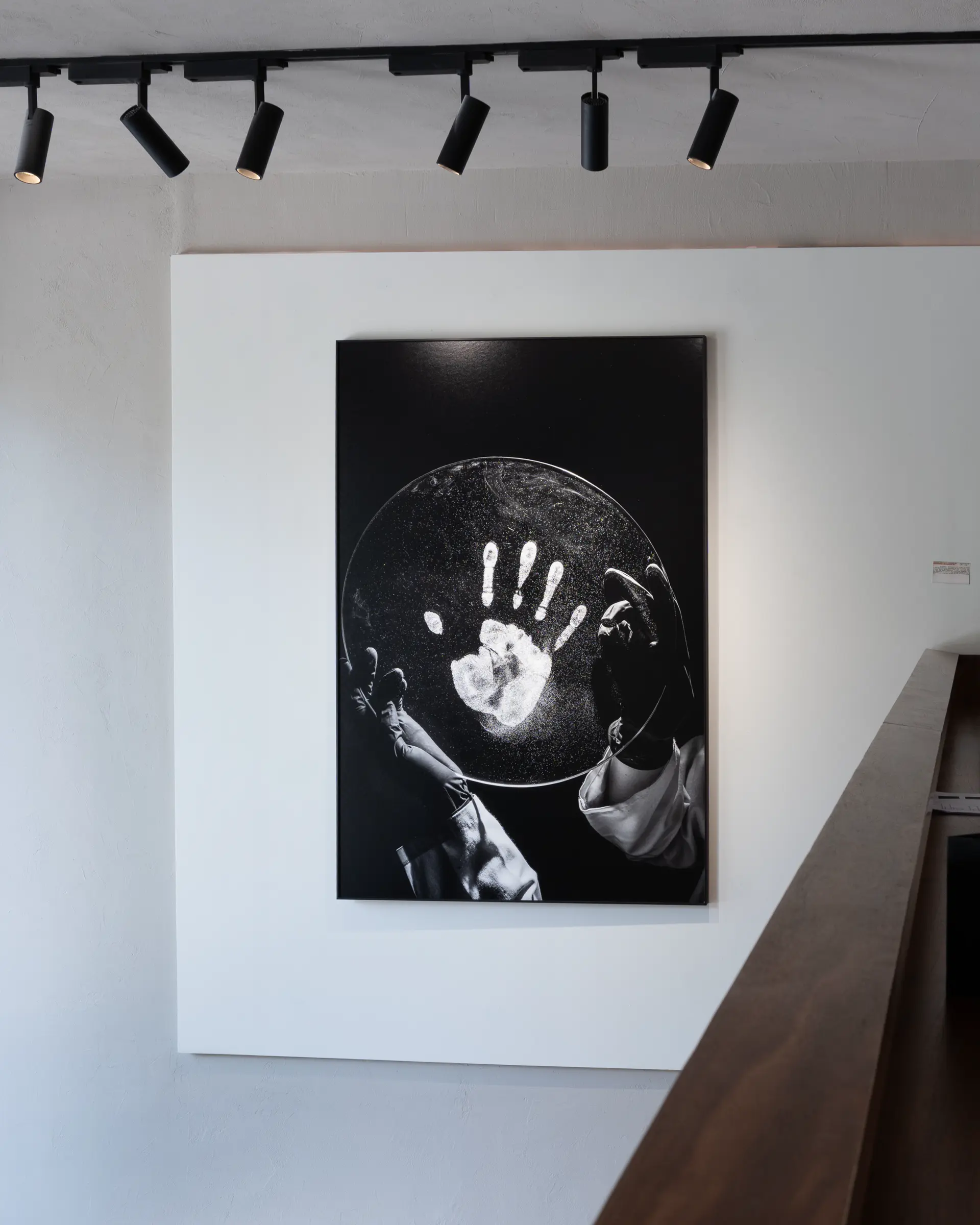 Gallery installation shot