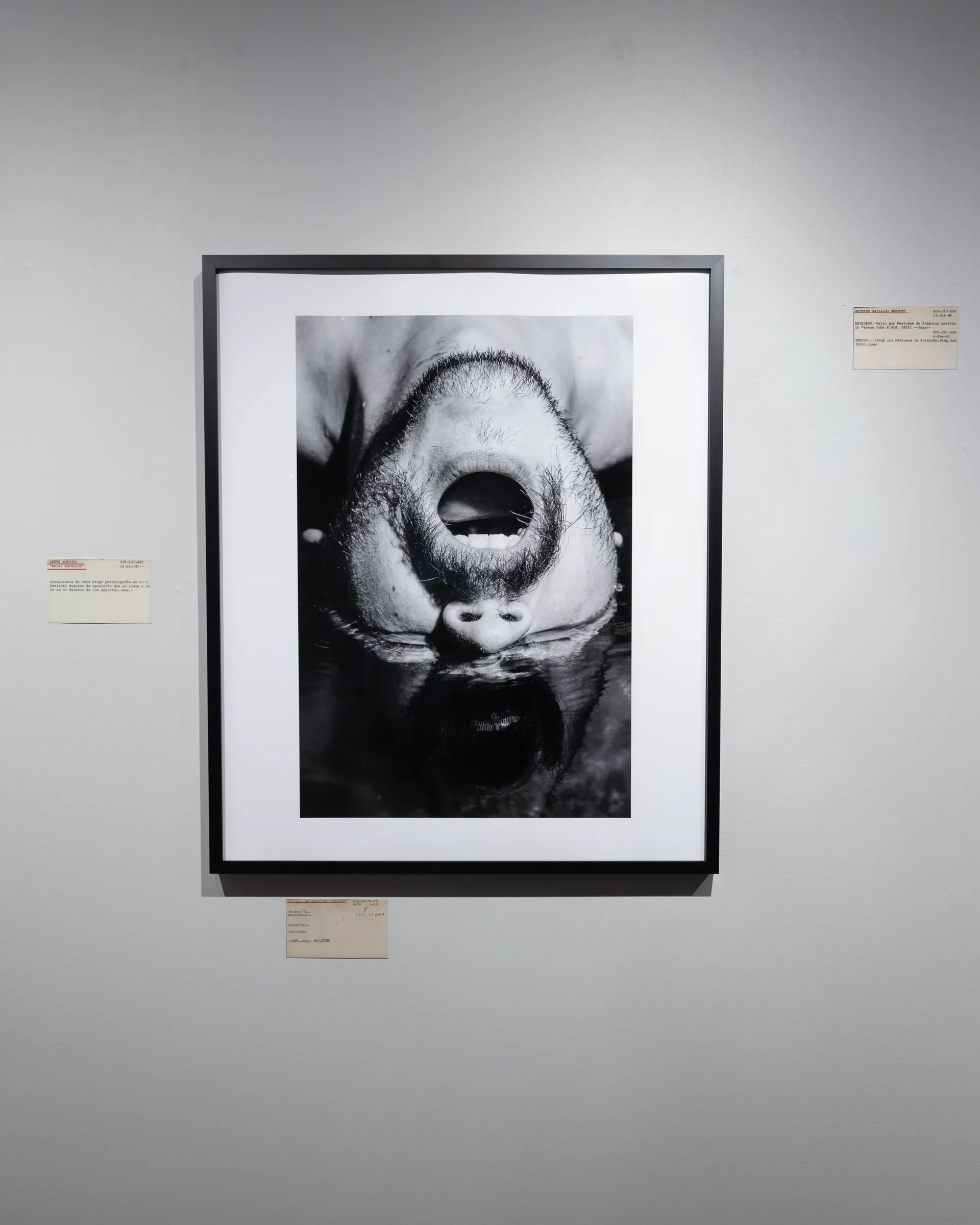 Gallery installation shot