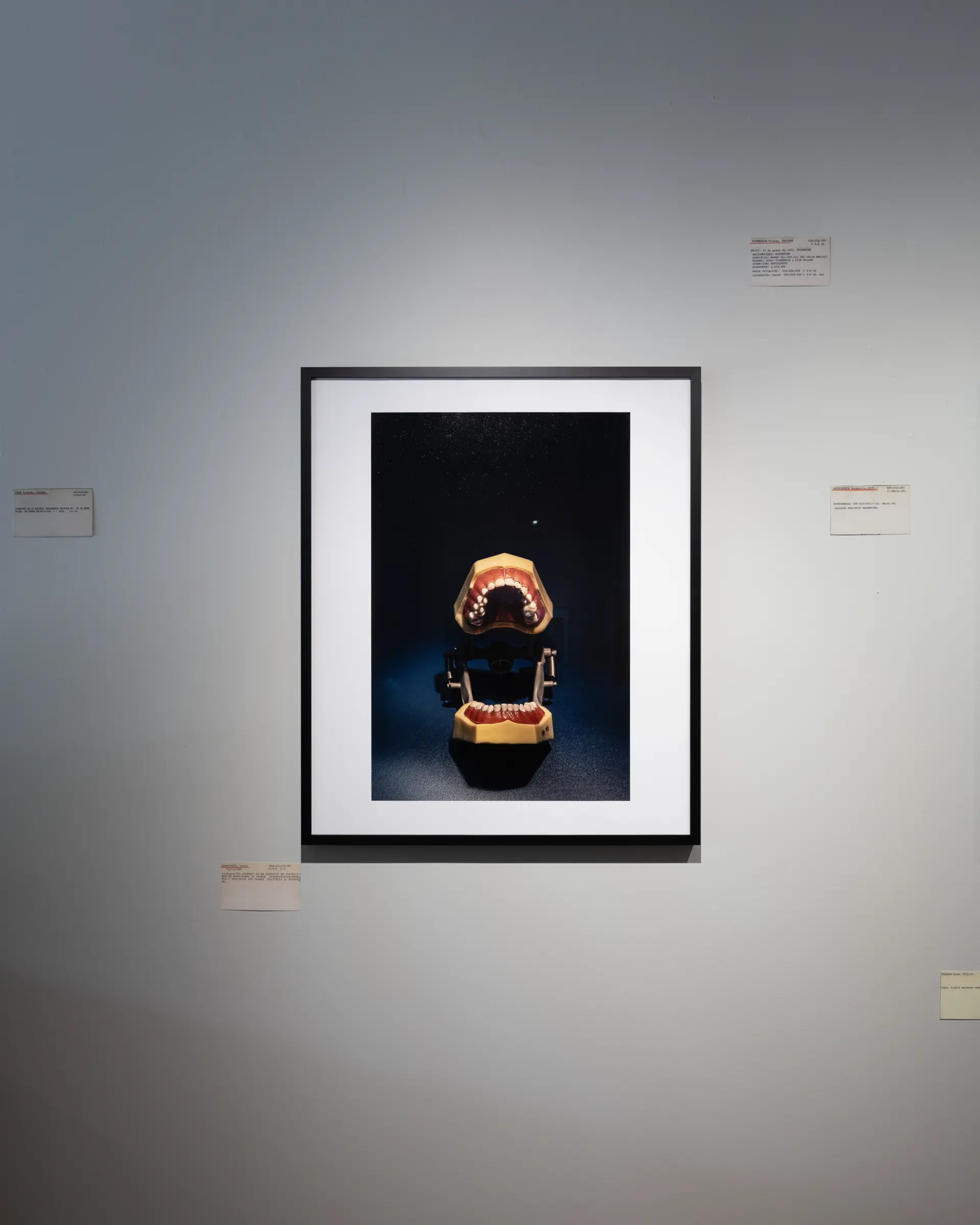 Gallery installation shot