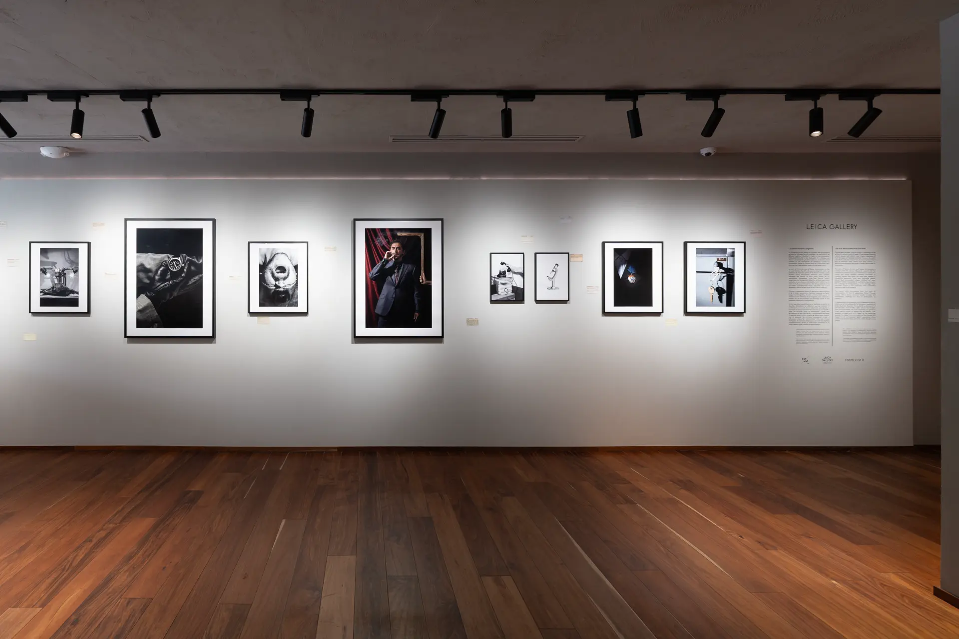 Gallery installation shot