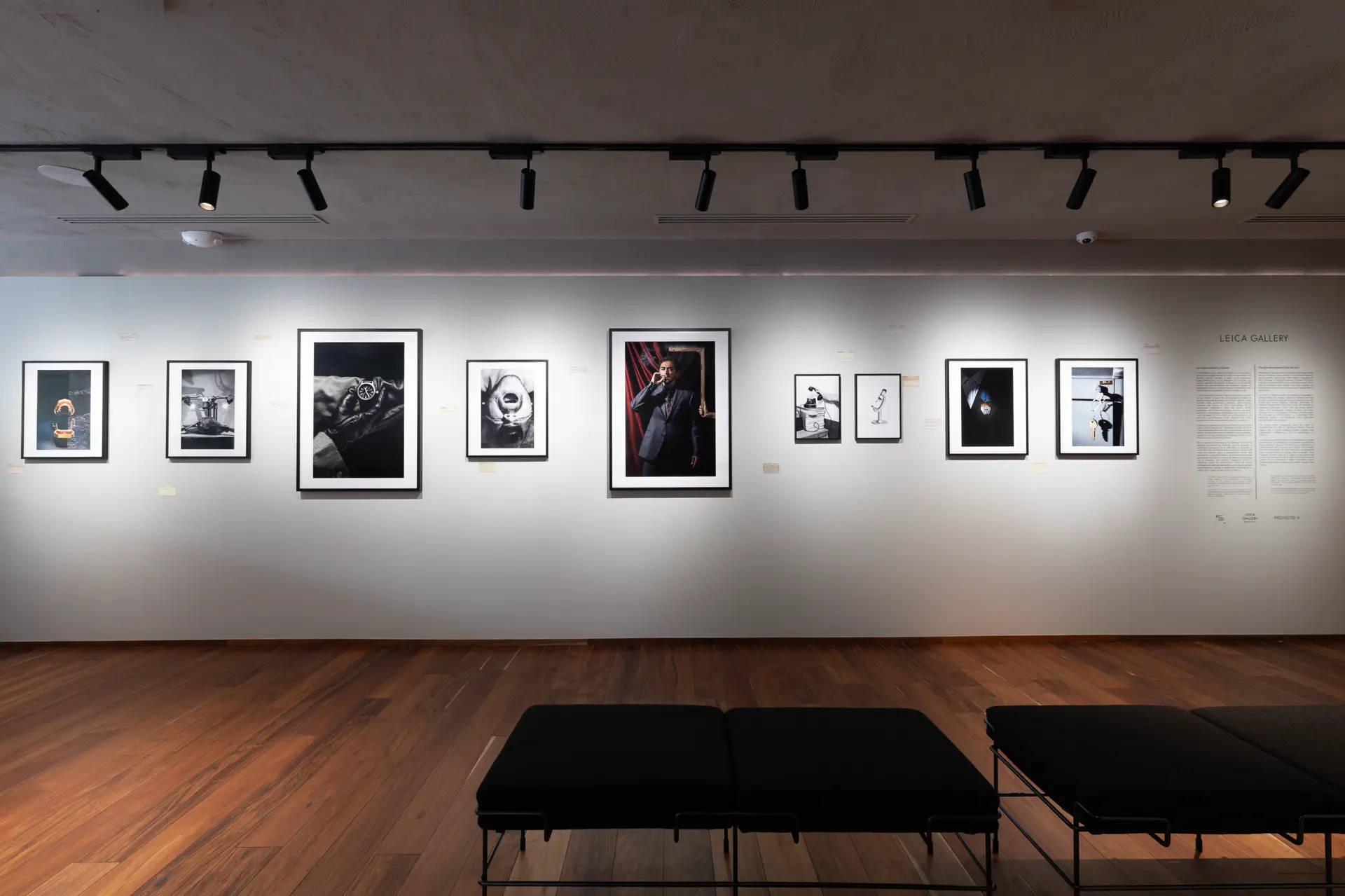 Gallery installation shot