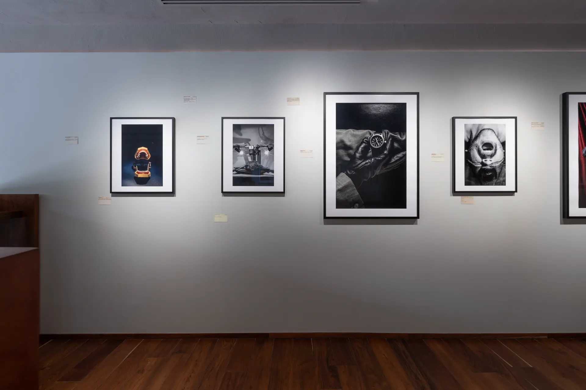 Gallery installation shot