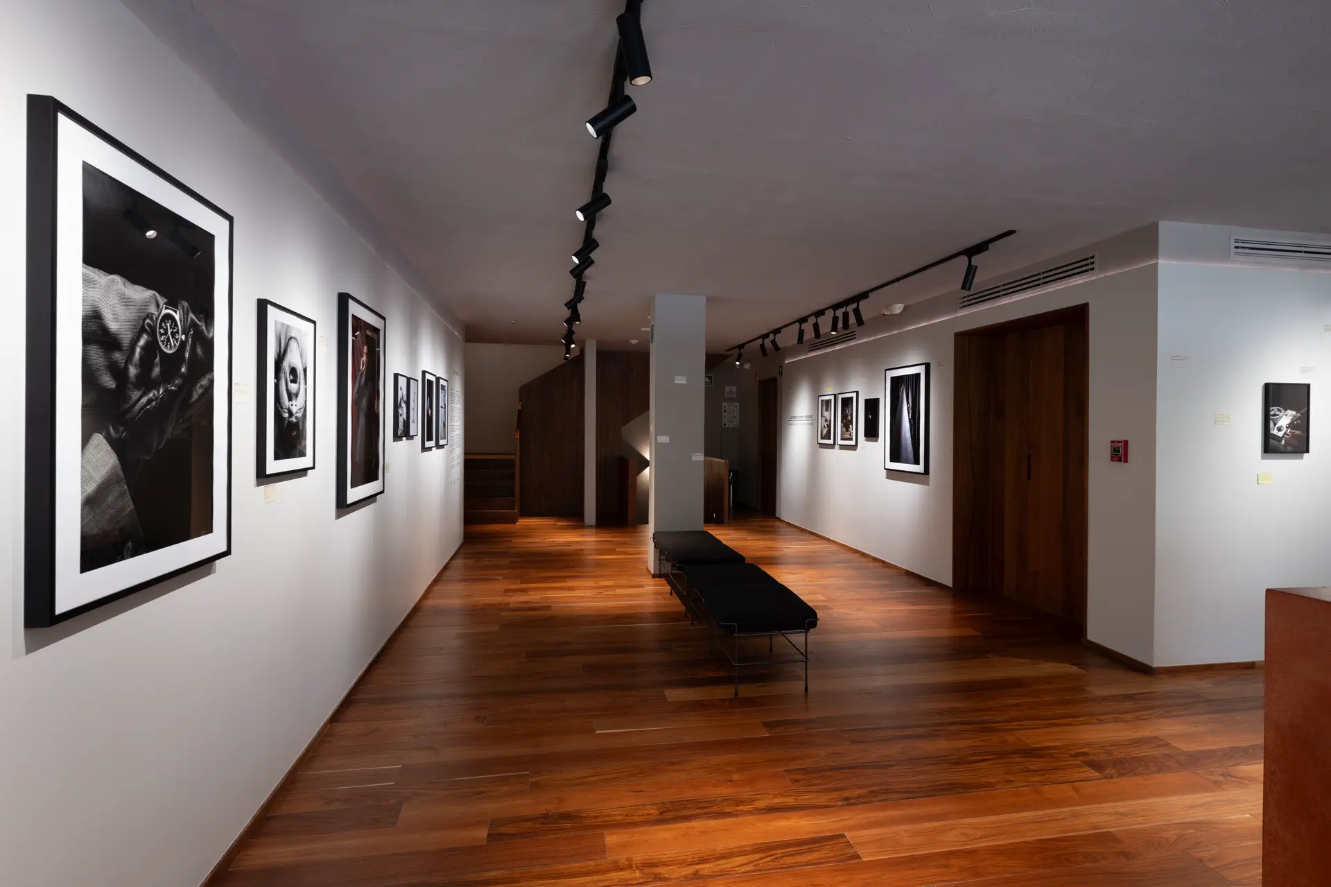 Gallery installation shot