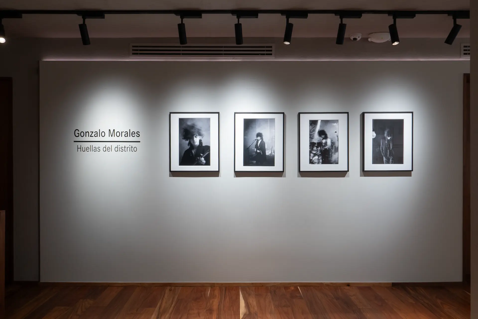 Gallery installation shot