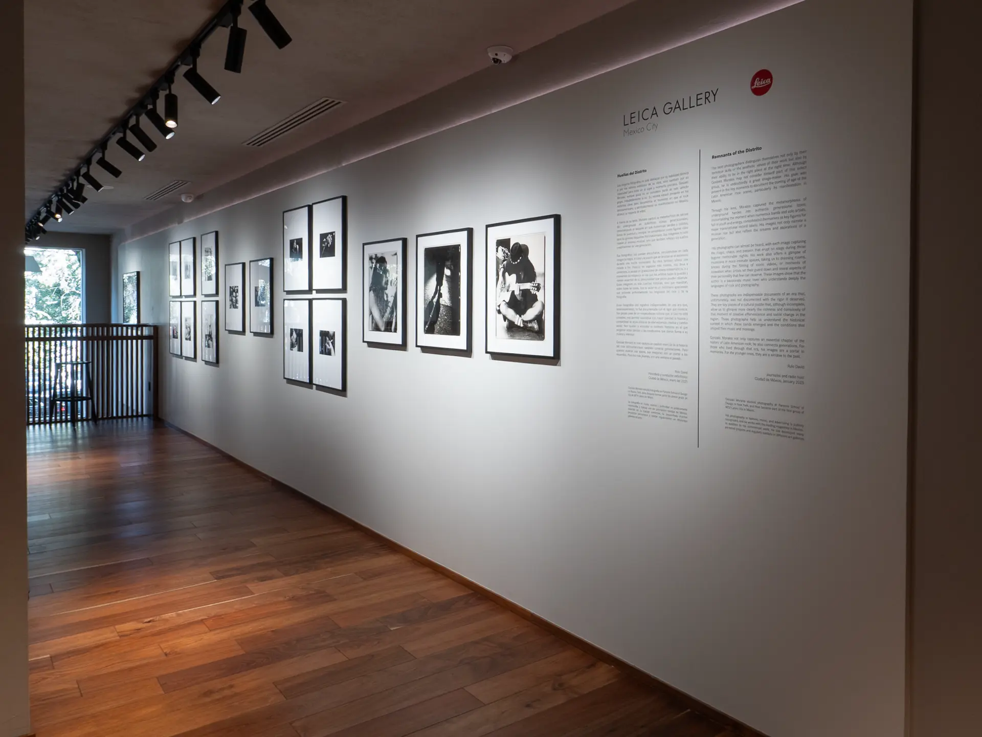 Gallery installation shot
