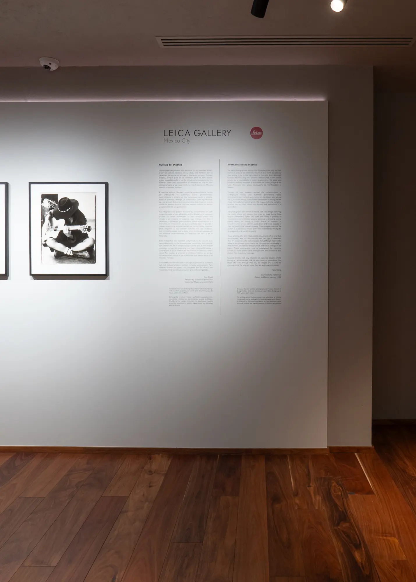 Gallery installation shot
