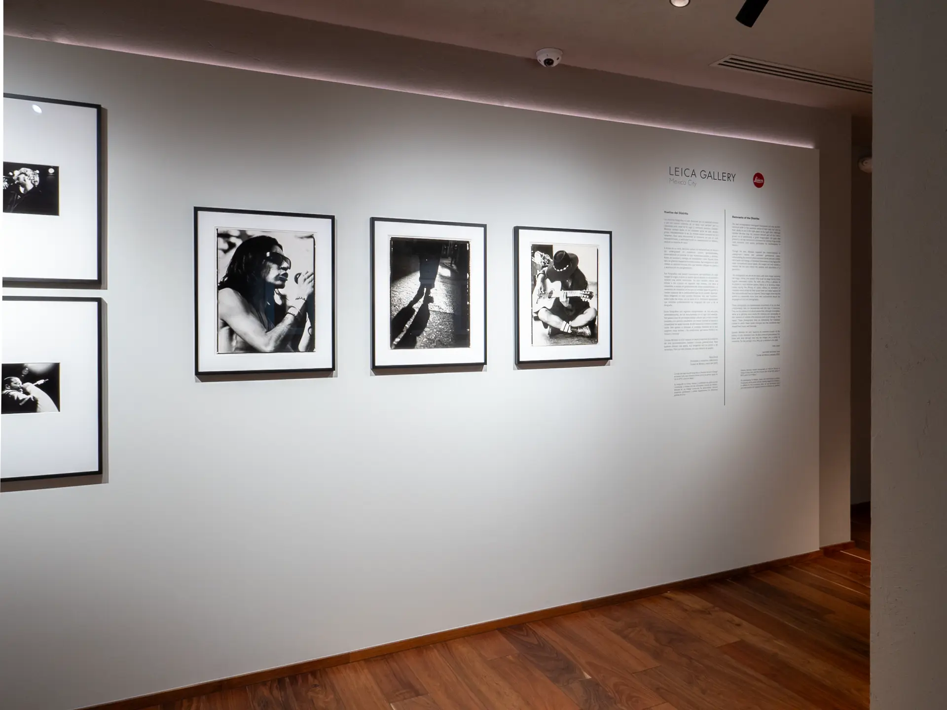 Gallery installation shot
