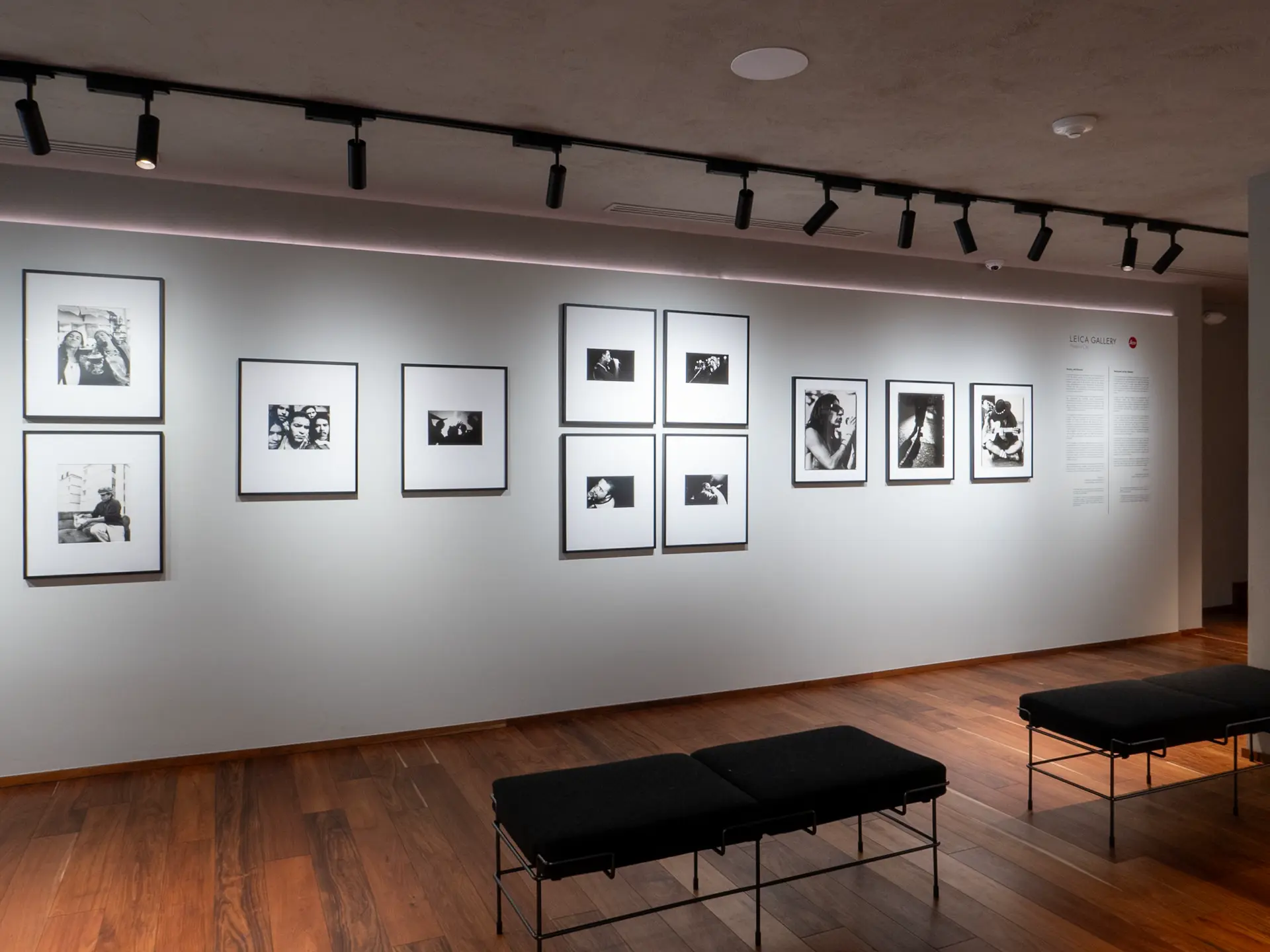 Gallery installation shot