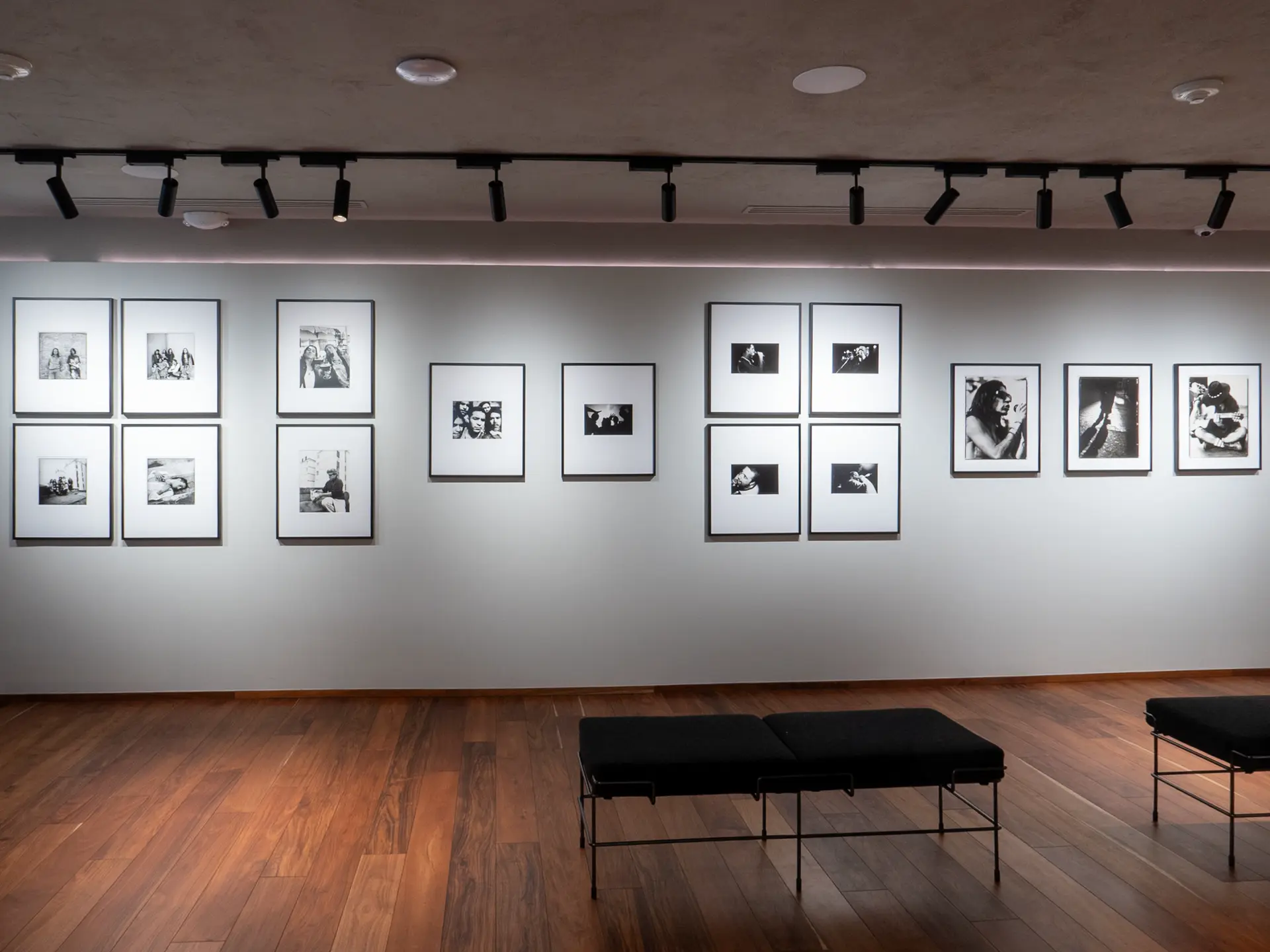 Gallery installation shot