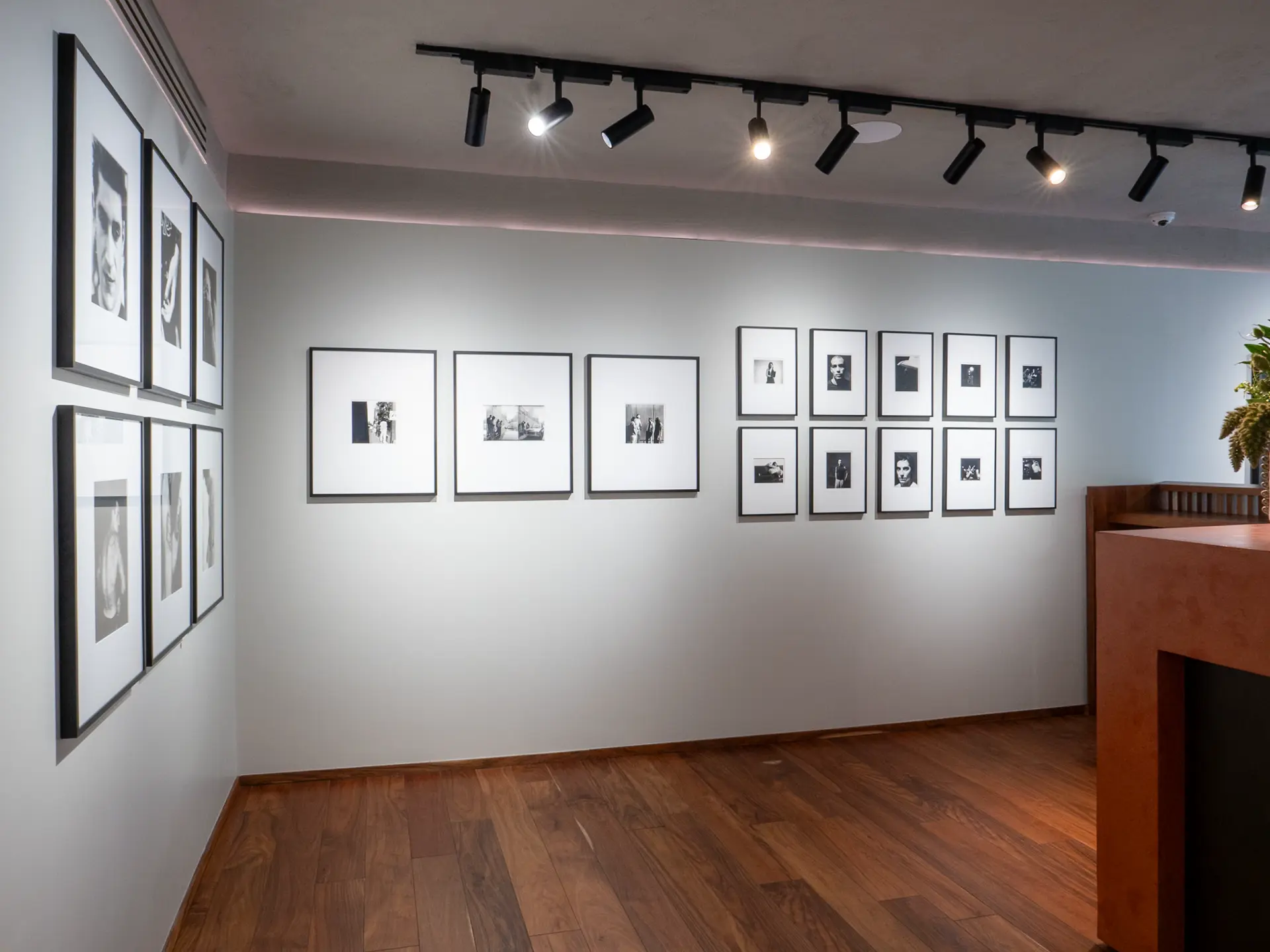 Gallery installation shot