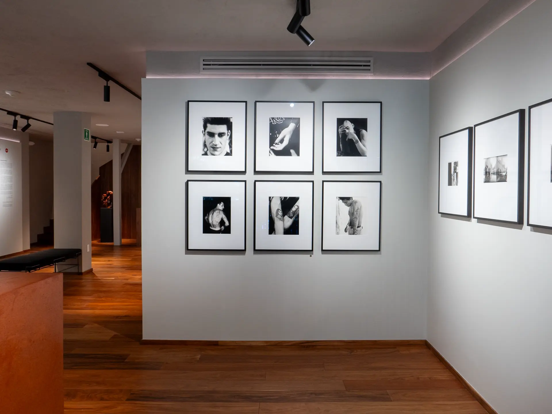 Gallery installation shot