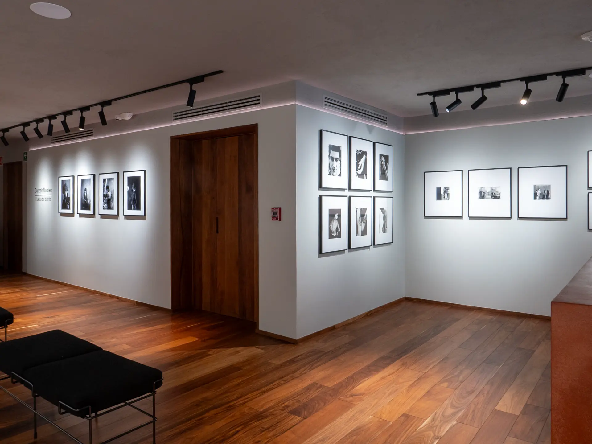 Gallery installation shot
