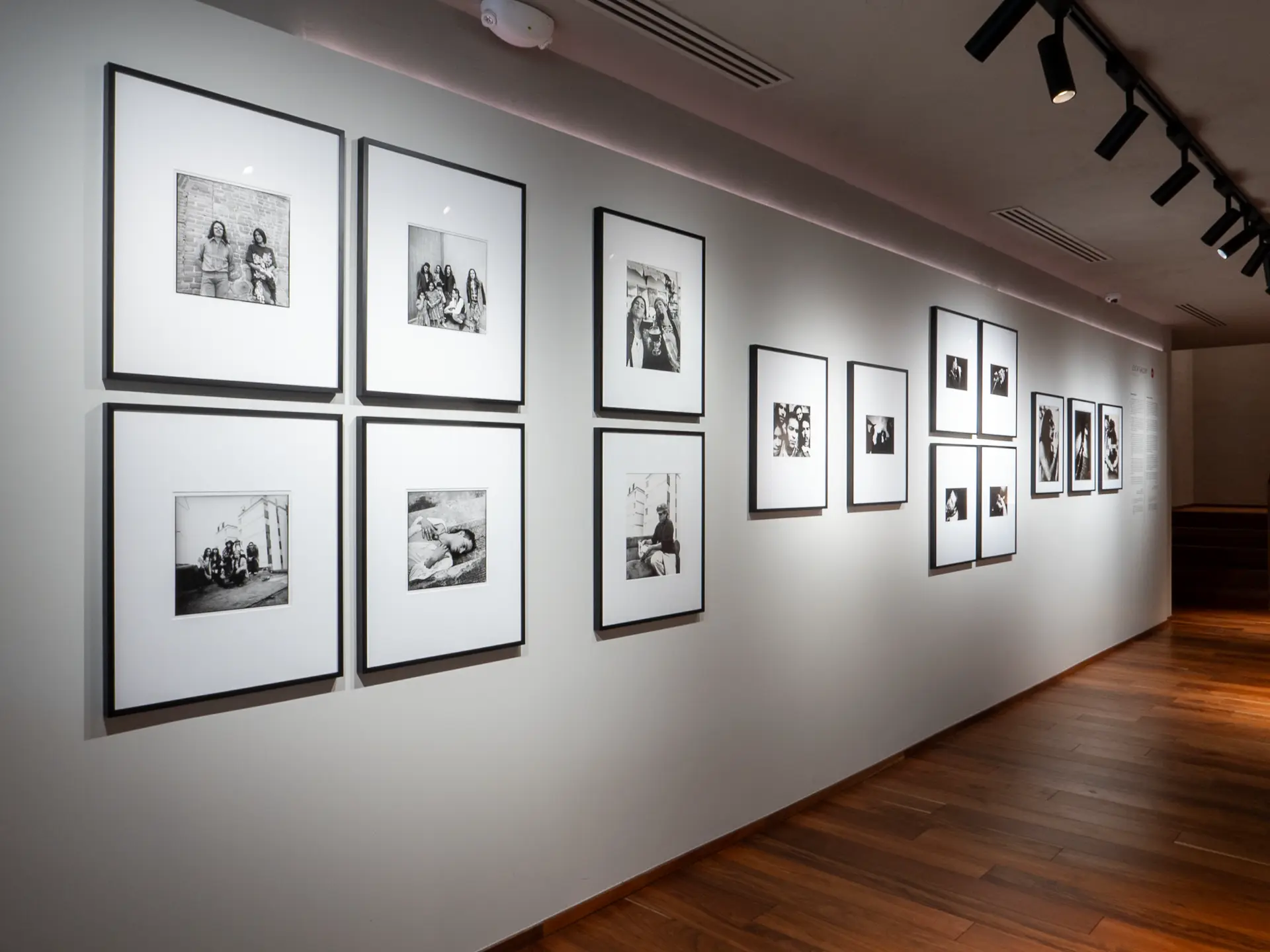 Gallery installation shot