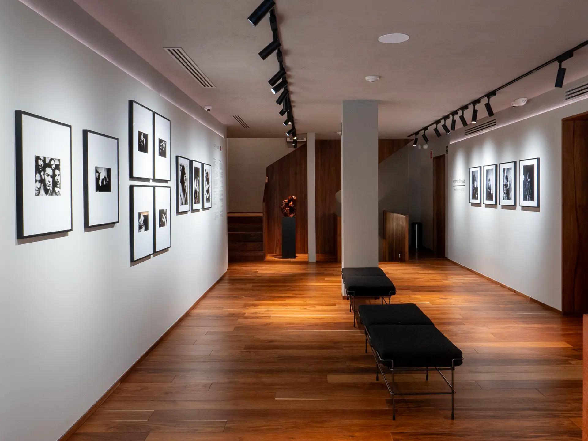 Gallery installation shot