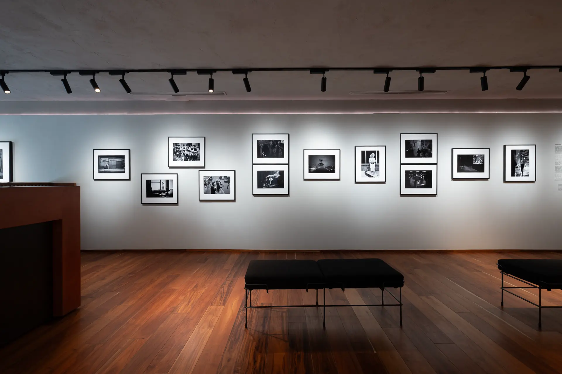 Gallery installation shot