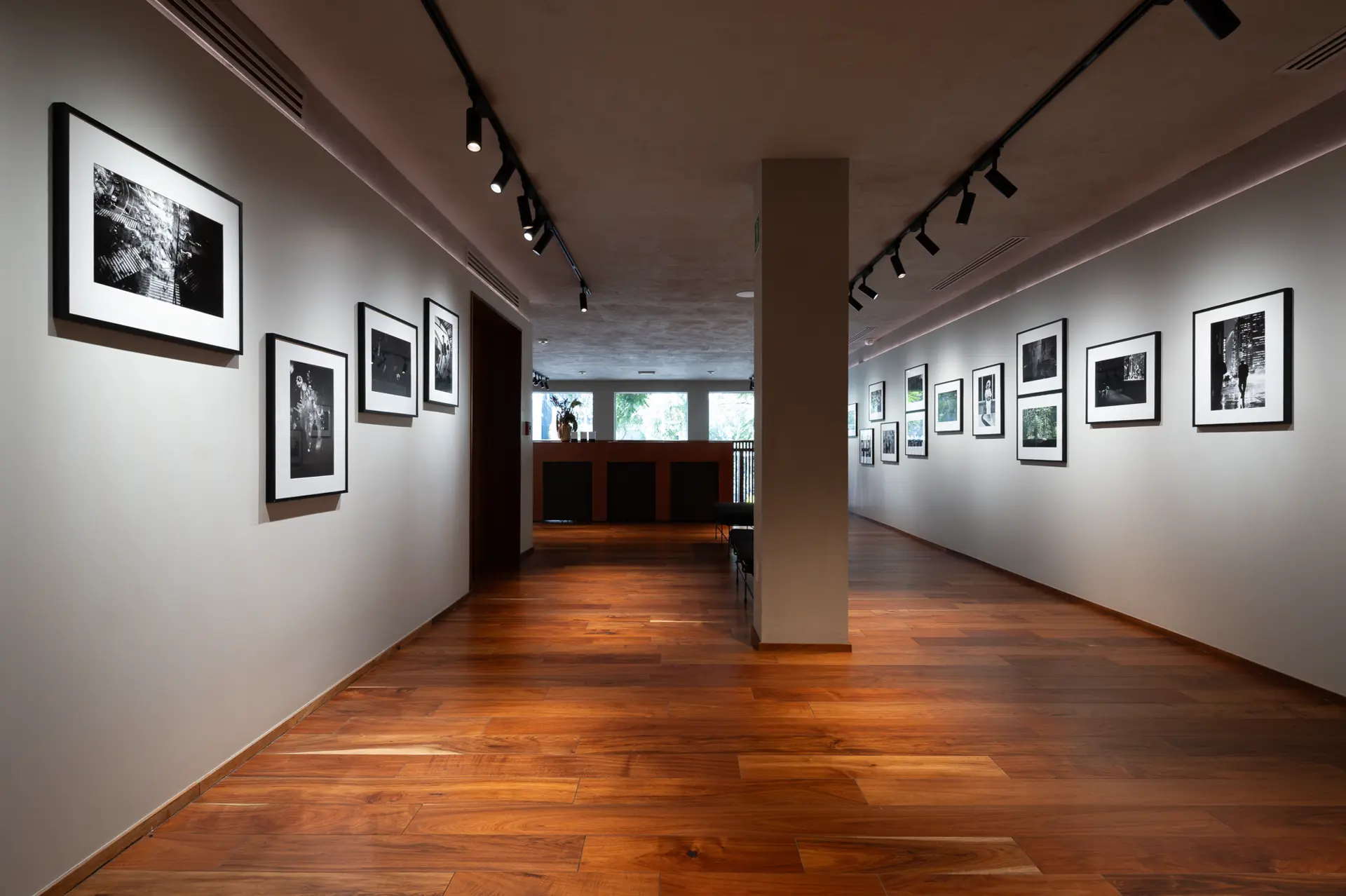 Gallery installation shot