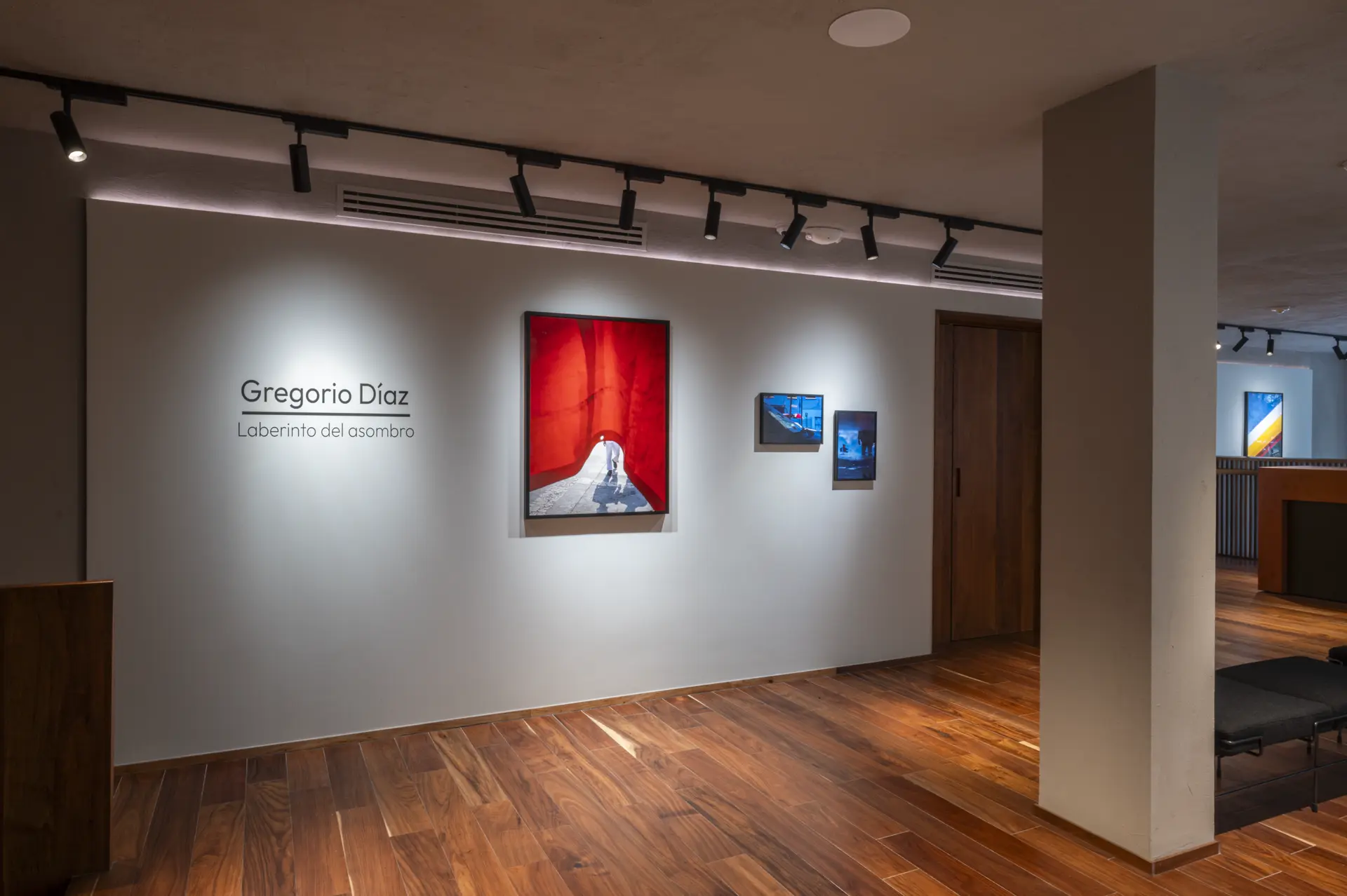 Gallery installation shot
