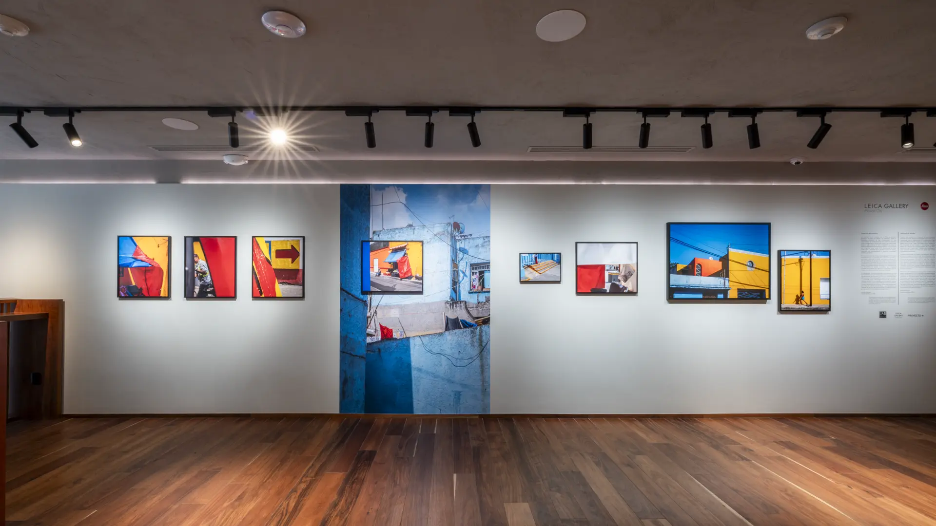 Gallery installation shot