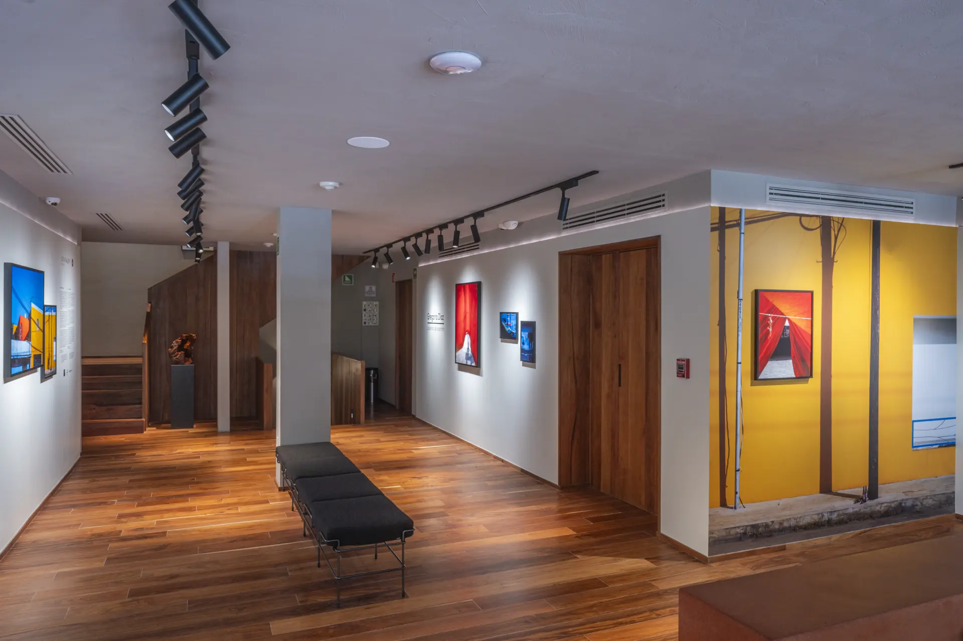 Gallery installation shot
