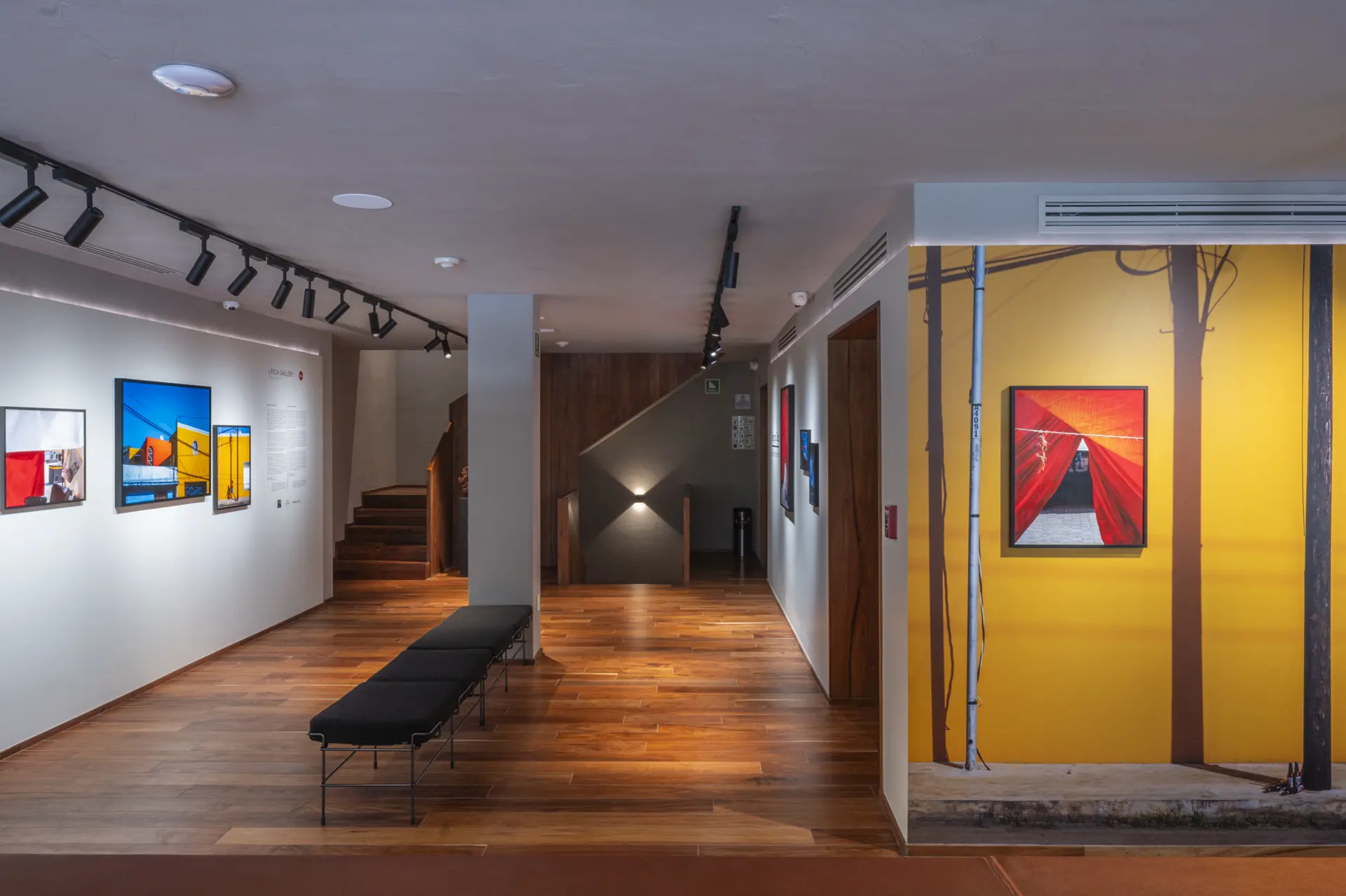 Gallery installation shot