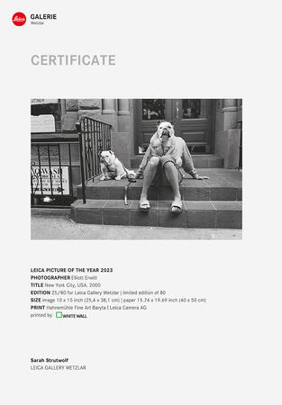 Leica Certificate_Leica_Picture_of_the_Year23.jpg