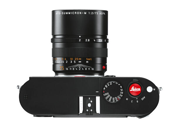 Leica_Release_Buttons_258d120149331c.jpg