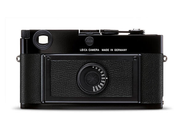 MP-black_back_10302.jpg