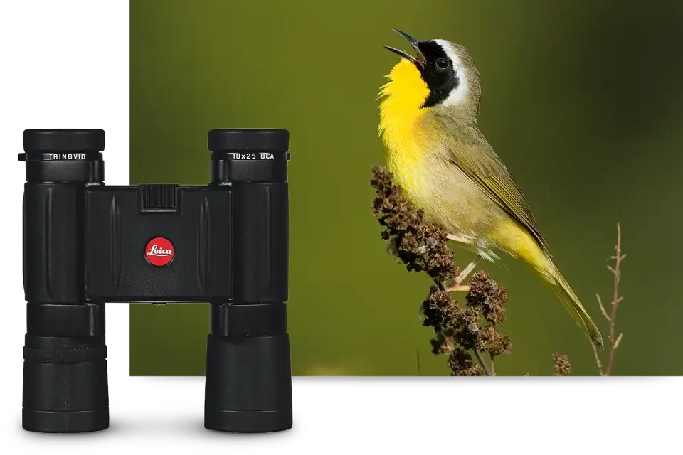COMPACT-FIELD-OPTICS-2-VIVID-VIEWS