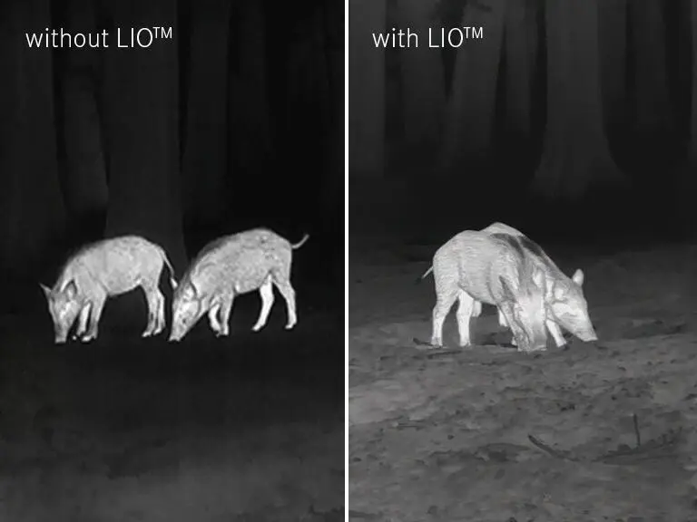 Leica Calonox Bildqualitaet - White Hot