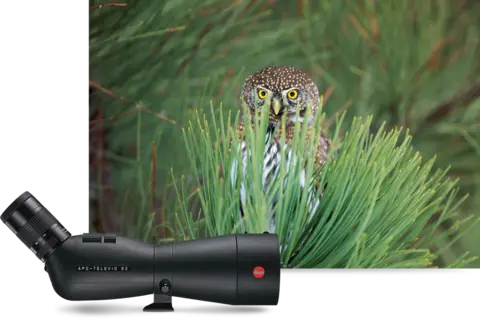 SPOTTING-SCOPES-2-FOCUSING-IN-FOCUS