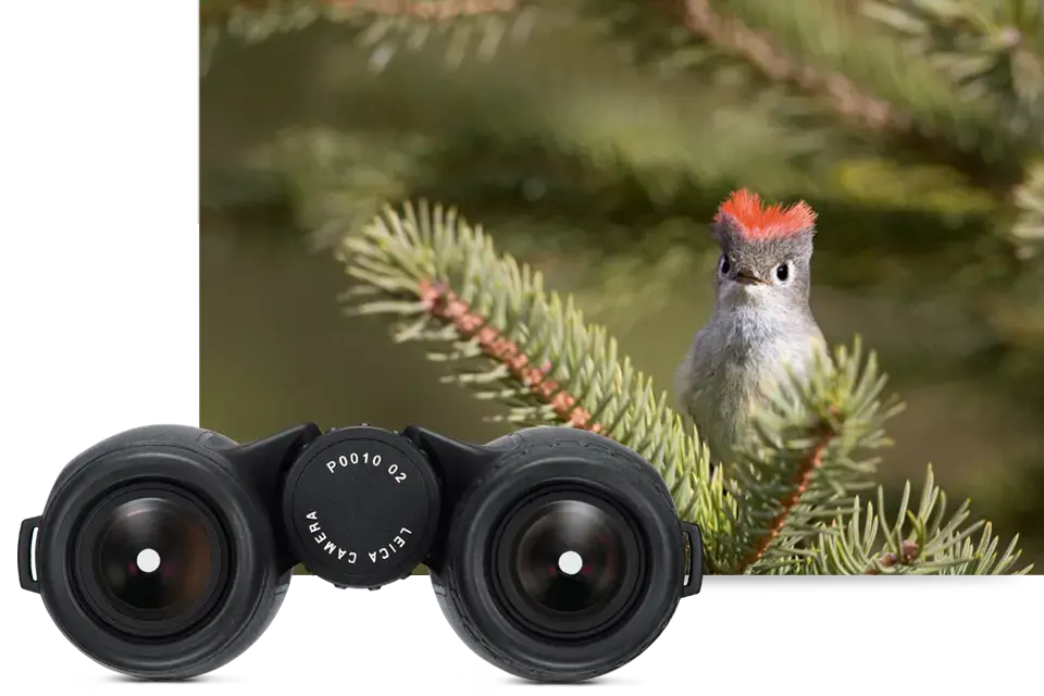 BINOCULAR-TRINOVID-1-A-NEW-GENERATION
