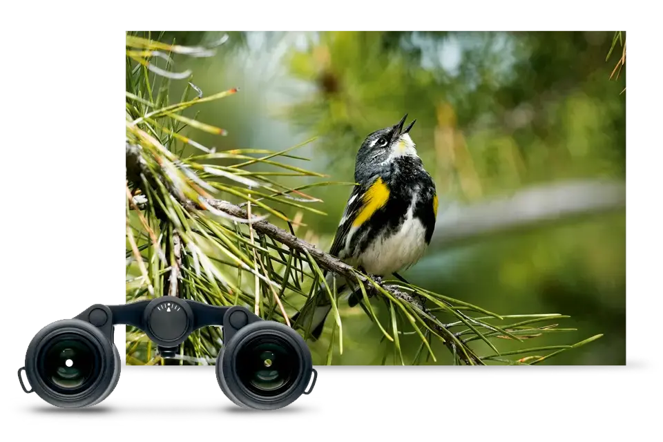 COMPACT-FIELD-OPTICS-ULTRAVID-BLACKLINE-3-THE-SECOND-TO-NONE_teaser-960x640.png