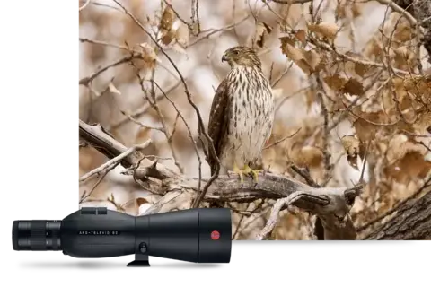 Spotting-scopes-apo-televid-3-closer-to-the-spot