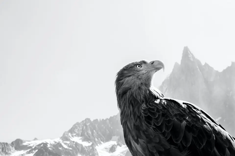 04_The-Observer_Aiguillle-du-Dru-2019-aus-dem-Zyklus-„Eagle-Wings“-©-Nomi-Baumgartl_Leica-Galerie-Wetzlar-2022.jpg