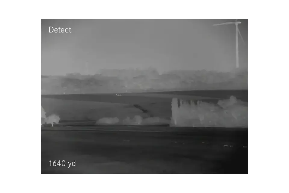 Detect