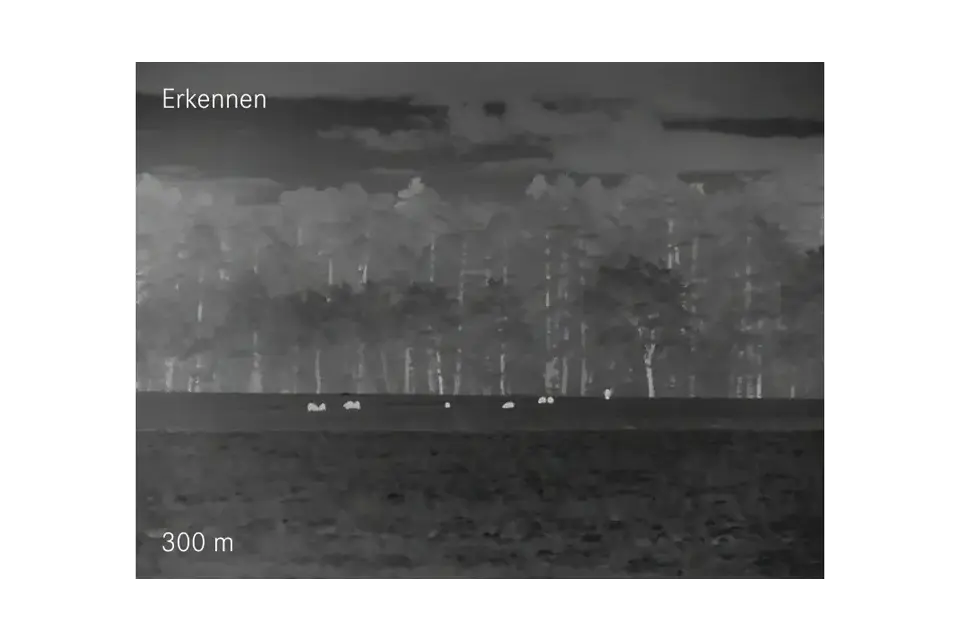 Erkennen