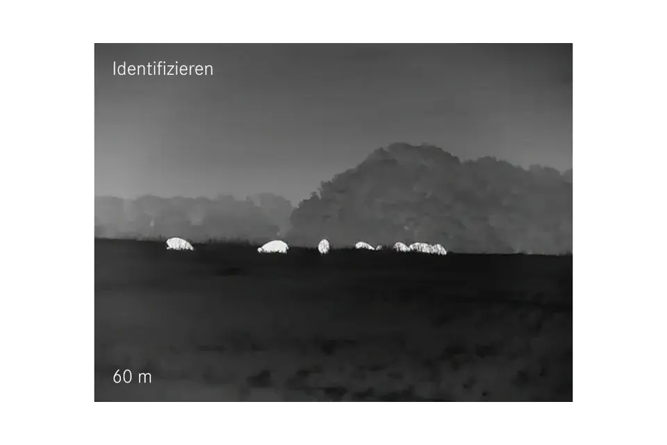Identifizieren