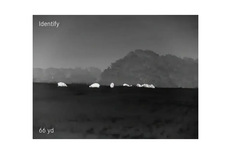 Identify