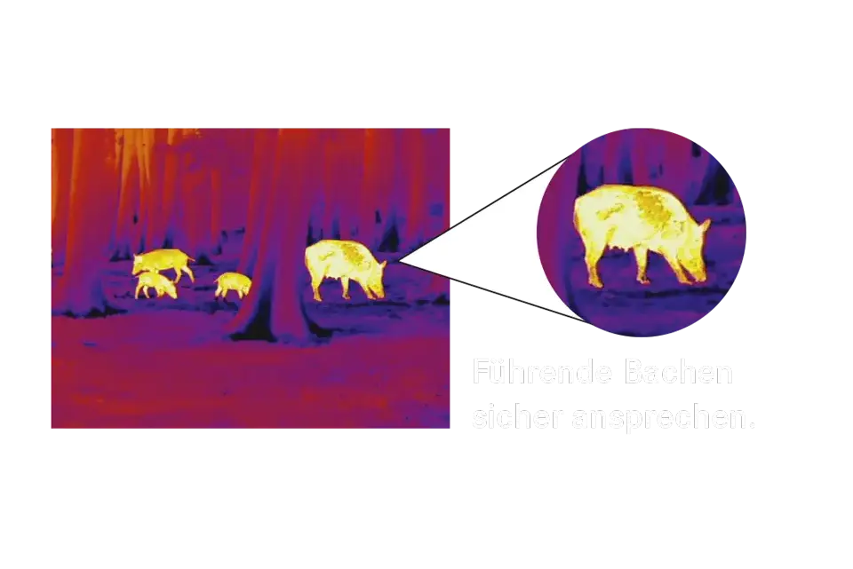 Kein Detail bleibt verborgen