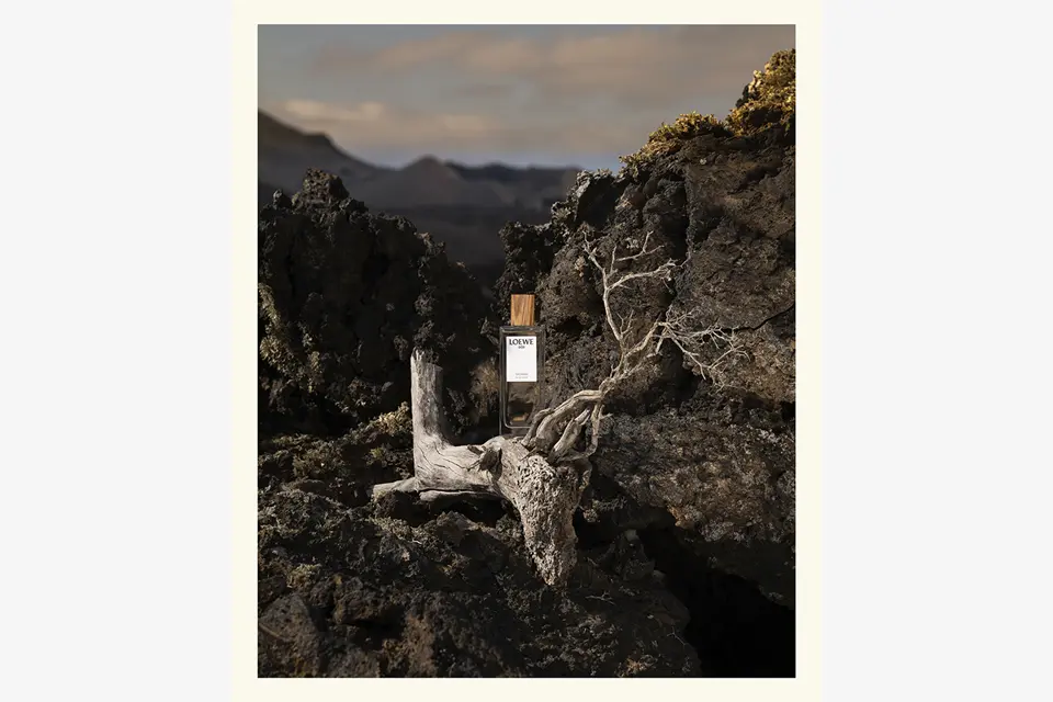 Fabien Voileau