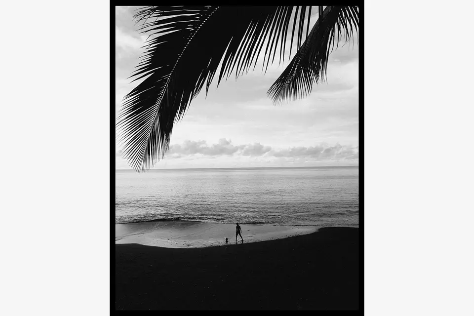 Fabien Voileau