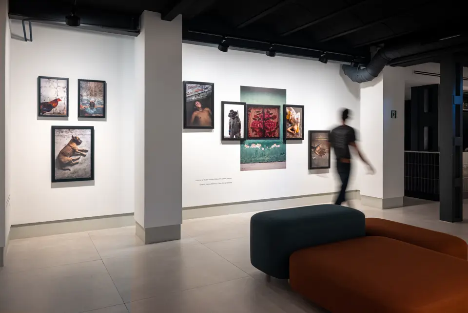 Gallery Madrid
