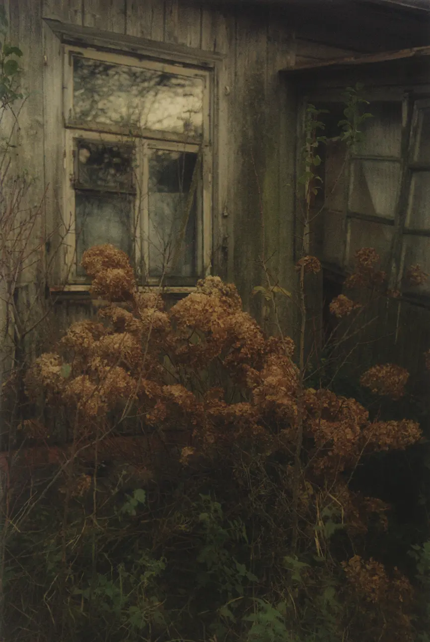 Matt Wilson