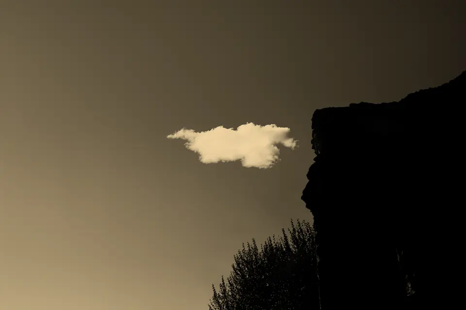 Paul Cupido