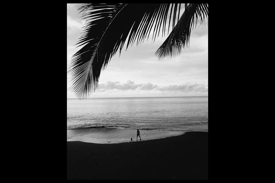 Fabien Voileau