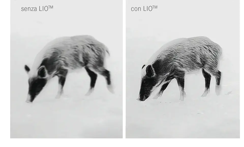 lioit.png