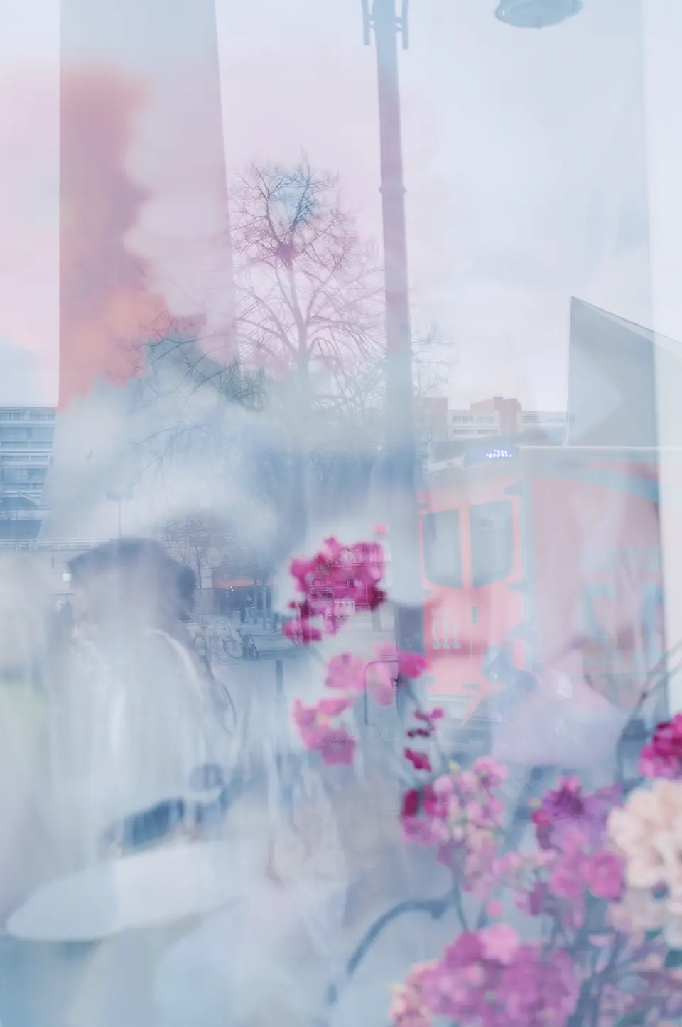 c_franziska_stuenkel_all_the_stories_149_2022_coexist.jpg