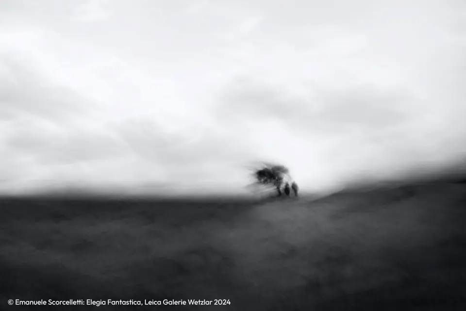 Disappearing scene in black and white 